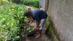 Giat Kerja Bakti Jalan Lingkungan Di Desa Sirnagalih Tamansari