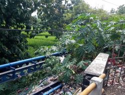 Mengatasi Problem Kebersihan: Anggaran dan Penegakan Perda di Wilayah Kabupaten Bogor