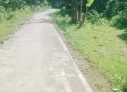 Proyek Paving Blok Kampung Hirung Desa Sajira Mekar Tanpa Papan Informasi Publik dan Terlihat Tidak Makasimal
