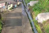 Kondisi saluran pembuangan limbah diduga berasal dari dapur SPPG Yayasan Boga Pangan Gemilang di Kampung Kilenjong, Desa Cigombong, Kabupaten Bogor, yang dikeluhkan warga karena menimbulkan bau tidak sedap dan diduga mencemari lingkungan sekitar.