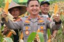 Kapolres Lebak AKBP Herfio Zaki, S.I.K., M.H menghadiri kegiatan Panen Raya Jagung Kuartal II Tahun 2026 di Desa Sangiang Tanjung, Kecamatan Kalanganyar, Kabupaten Lebak. Kegiatan ini merupakan bentuk dukungan terhadap program ketahanan pangan nasional serta wujud sinergitas Polri bersama pemerintah daerah dan masyarakat dalam meningkatkan kesejahteraan petani dan memperkuat sektor pertanian di Kabupaten Lebak.
