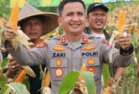 Kapolres Lebak AKBP Herfio Zaki, S.I.K., M.H menghadiri kegiatan Panen Raya Jagung Kuartal II Tahun 2026 di Desa Sangiang Tanjung, Kecamatan Kalanganyar, Kabupaten Lebak. Kegiatan ini merupakan bentuk dukungan terhadap program ketahanan pangan nasional serta wujud sinergitas Polri bersama pemerintah daerah dan masyarakat dalam meningkatkan kesejahteraan petani dan memperkuat sektor pertanian di Kabupaten Lebak.