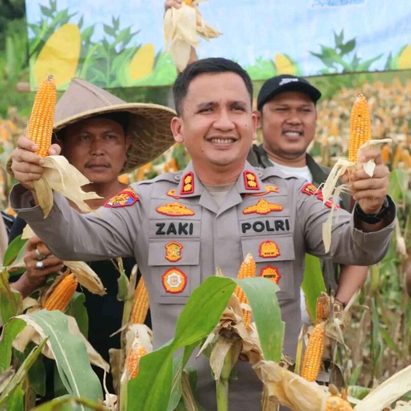 Kapolres Lebak AKBP Herfio Zaki, S.I.K., M.H menghadiri kegiatan Panen Raya Jagung Kuartal II Tahun 2026 di Desa Sangiang Tanjung, Kecamatan Kalanganyar, Kabupaten Lebak. Kegiatan ini merupakan bentuk dukungan terhadap program ketahanan pangan nasional serta wujud sinergitas Polri bersama pemerintah daerah dan masyarakat dalam meningkatkan kesejahteraan petani dan memperkuat sektor pertanian di Kabupaten Lebak.