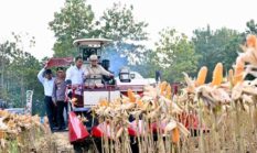 Presiden Prabowo Pimpin Panen Raya Jagung Serentak 2026 di Tuban