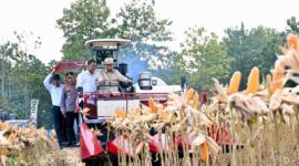 Presiden Prabowo Subianto memimpin langsung Panen Raya Jagung Serentak Kuartal II Tahun 2026 di Kabupaten Tuban, Jawa Timur, Sabtu (16/5/2026). Dalam kegiatan tersebut, Presiden turut mengendarai Combine Corn Harvester sebagai simbol komitmen terhadap modernisasi pertanian dan penguatan ketahanan pangan nasional. Acara ini menjadi bagian dari upaya pemerintah dalam meningkatkan produktivitas pertanian serta memperkuat ketersediaan pangan di seluruh Indonesia.