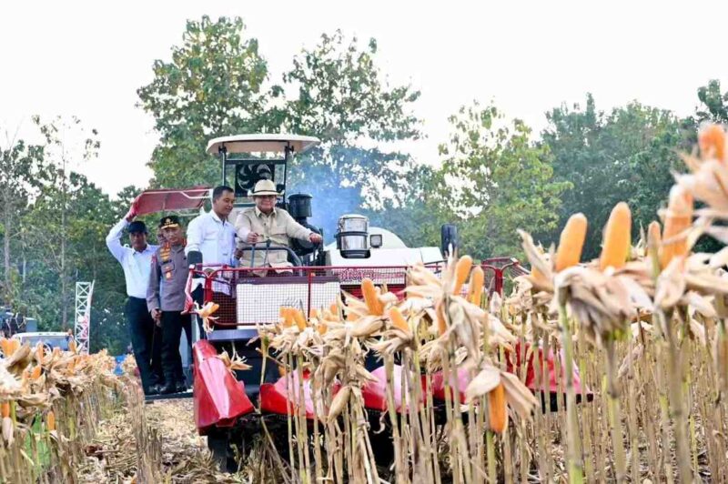 Presiden Prabowo Subianto memimpin langsung Panen Raya Jagung Serentak Kuartal II Tahun 2026 di Kabupaten Tuban, Jawa Timur, Sabtu (16/5/2026). Dalam kegiatan tersebut, Presiden turut mengendarai Combine Corn Harvester sebagai simbol komitmen terhadap modernisasi pertanian dan penguatan ketahanan pangan nasional. Acara ini menjadi bagian dari upaya pemerintah dalam meningkatkan produktivitas pertanian serta memperkuat ketersediaan pangan di seluruh Indonesia.