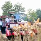 Presiden Prabowo Subianto memimpin langsung Panen Raya Jagung Serentak Kuartal II Tahun 2026 di Kabupaten Tuban, Jawa Timur, Sabtu (16/5/2026). Dalam kegiatan tersebut, Presiden turut mengendarai Combine Corn Harvester sebagai simbol komitmen terhadap modernisasi pertanian dan penguatan ketahanan pangan nasional. Acara ini menjadi bagian dari upaya pemerintah dalam meningkatkan produktivitas pertanian serta memperkuat ketersediaan pangan di seluruh Indonesia.