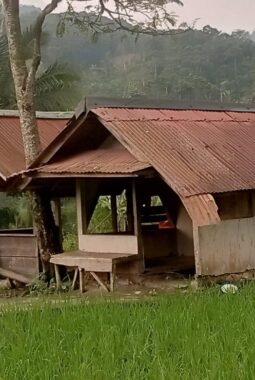 Diduga Tampung Bahan Baku Emas dari Tambang Ilegal, Aktivitas Pengepul di Lebak Jadi Sorotan