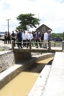 P3A Sanding Bersatu Bangun Irigasi Berkualitas, Dukung Ketahanan Pangan di Lebak